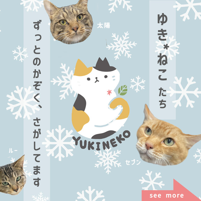 ゆきねこのカバー写真