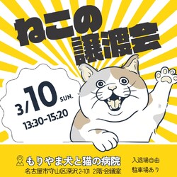 猫の譲渡会▼名古屋市守山区
