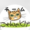 非営利保護団体「チームにゃんのヒゲ猫SOS」