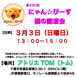 にゃん☆ぴーす猫の譲渡会【都賀･アトリエTOM】