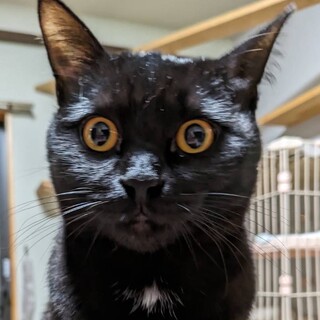 人が大好きな甘えっ子❣️