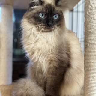 アルマーニ☺︎