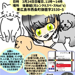 犬猫譲渡会
