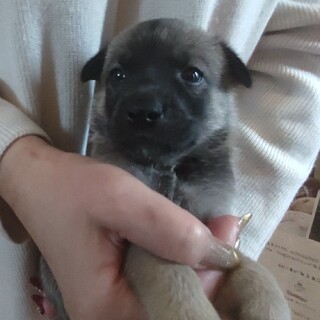 元気いっぱいな男の子「さとし」くん！