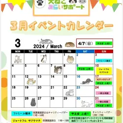 保護猫譲渡会IN一新公民館 サムネイル2