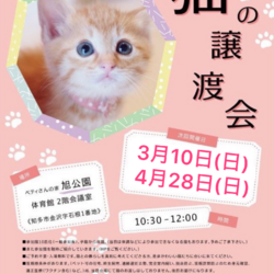 知多★常滑★阿久比★合同猫の譲渡会(=^x^=)