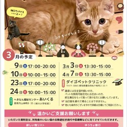保護猫の譲渡会（ねこの歩添道さんの主催の譲渡会）