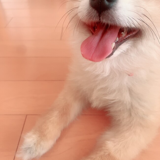 yukooooのカバー写真