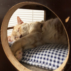 2024年の目標『17歳！』