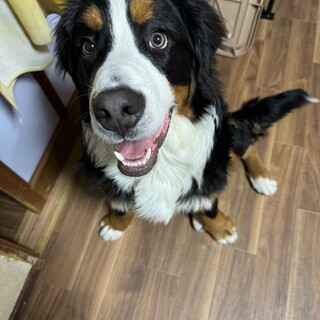 応募は一時休止します。