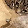 ド•アップ