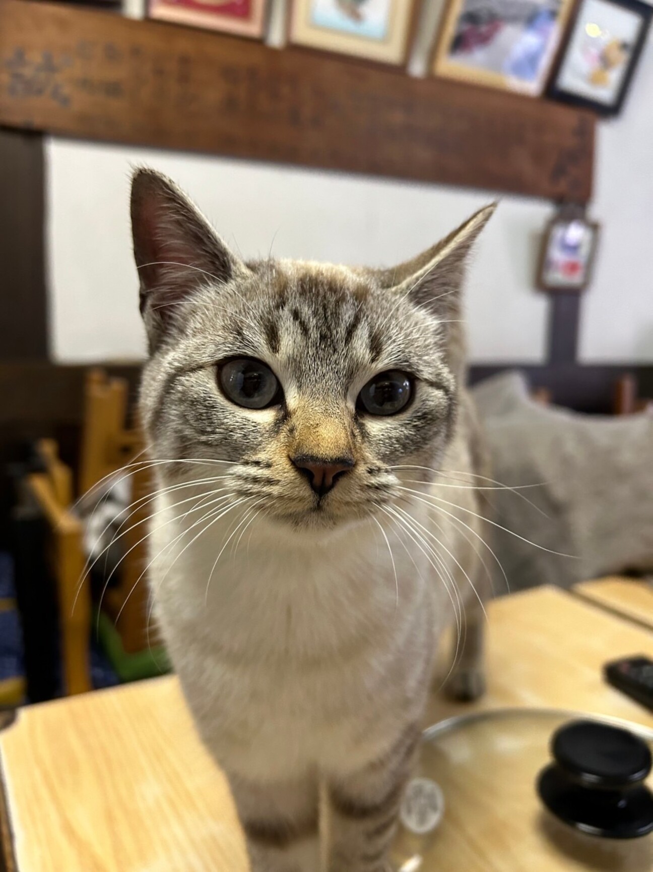 1529580.jpeg