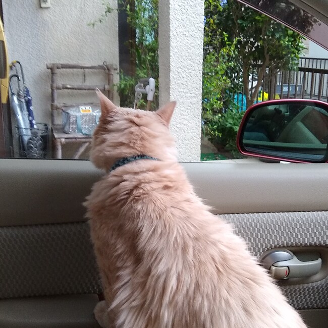 TETSUROUのカバー写真