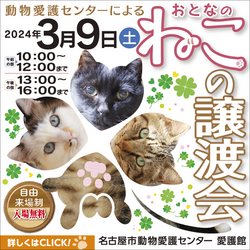 猫の譲渡会★名古屋市動物愛護センター