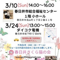 保護猫の譲渡会in春日井