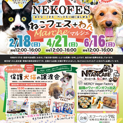 ねこフェス+わん みんなの譲渡会マルシェみんなの譲渡会