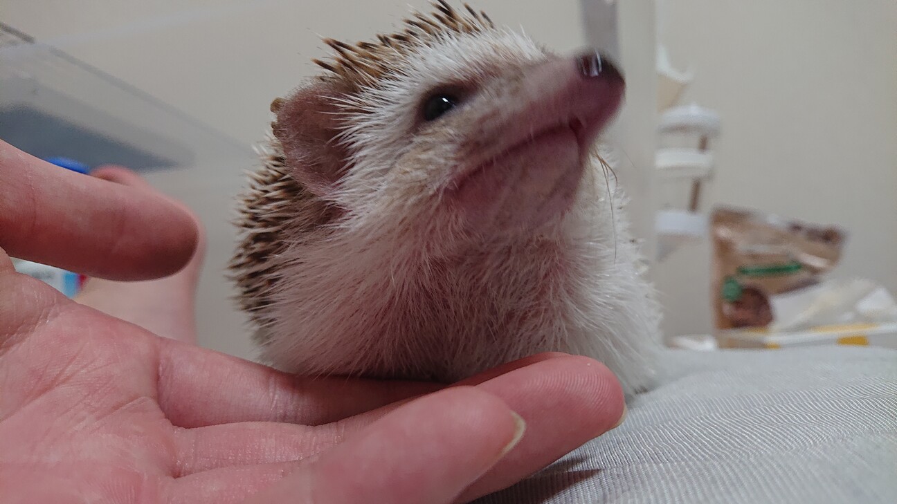 元気で食いしん坊な女の子 サムネイル2