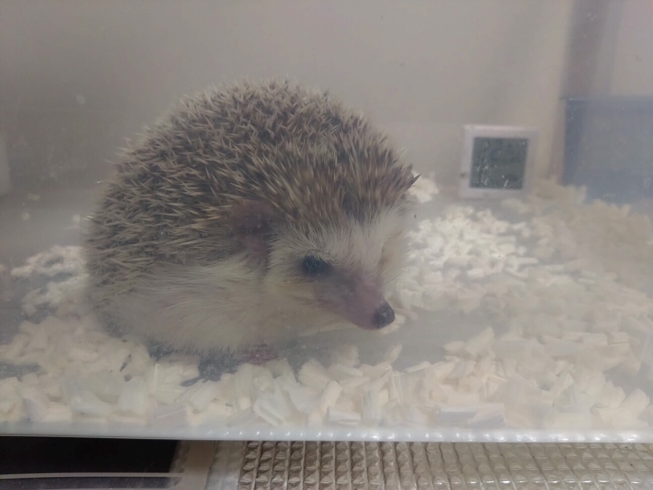 元気で食いしん坊な女の子 サムネイル3