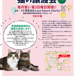 ねこ99福岡 ×［sakuraneko］合同譲渡会