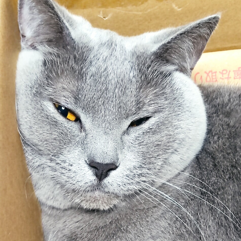 ジルのカバー写真