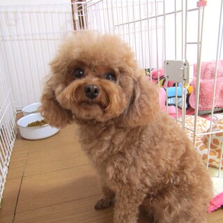 決まりました。ありがとうございました。