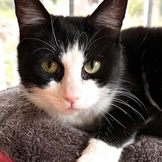 穏やかで優しい子　まふゆちゃん