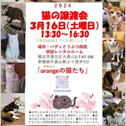 「orangeの猫たち」譲渡会in横浜大倉山