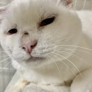 [お見合い大歓迎]大吾様