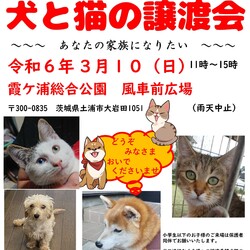 犬猫譲渡会～あなたの家族になりたい～　　　　