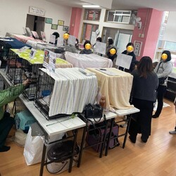2024/3/9 保護猫の里親会(譲渡会)in三重県津市 サムネイル2