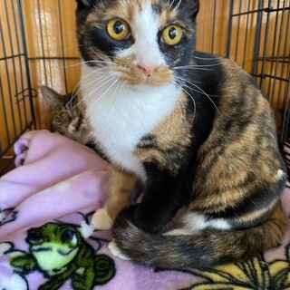 ♦︎カヤ♦︎女の子