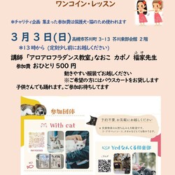 チャリティ企画ワンコイン・フラレッスンINわんにゃん譲渡会
