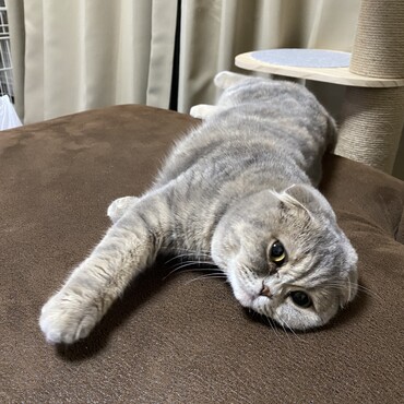 の写真