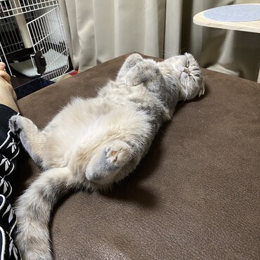 の写真