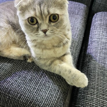の写真