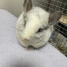 みーたろう⭐︎