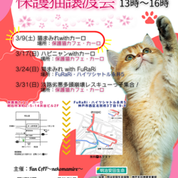 明石【譲渡会】猫まみれ with カーロ 第147回