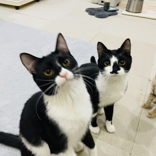 【3/31芝浦】初心者さん歓迎仲良し姉妹★ララ