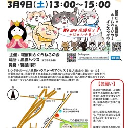 保護猫譲渡会@大阪府枚方