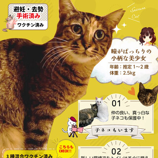 【避妊手術済み】瞳の大きなの麦わら女子