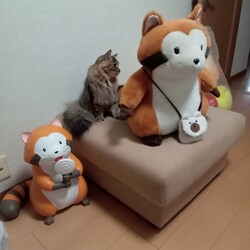 「ヒゲが好き」サムネイル2