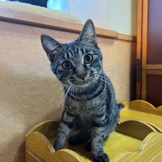 ♦︎ちとせ♦︎男の子