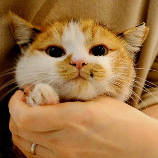 静寂♡家族ができました