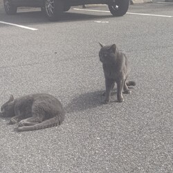 ６匹になりました