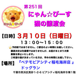 にゃん☆ぴーす猫の譲渡会【稲毛海岸/ペテモピアシティ稲毛海岸店】