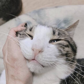 性格抜群な超甘えん坊！