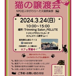 第９回猫の譲渡会