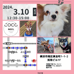 COCO NEEL譲渡会IN横浜