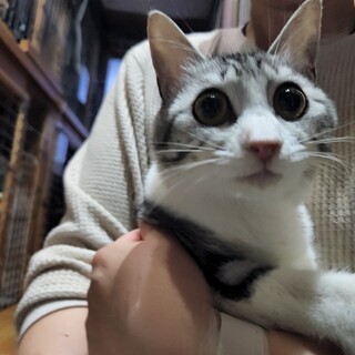 他サイトにて里親様決定しました！