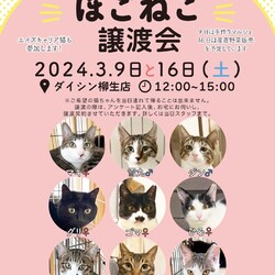 ほごねこ譲渡会　〜愛すべき野良猫の会〜